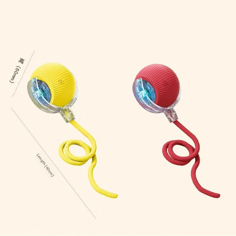 Dog Toy Automatic Walking Ball