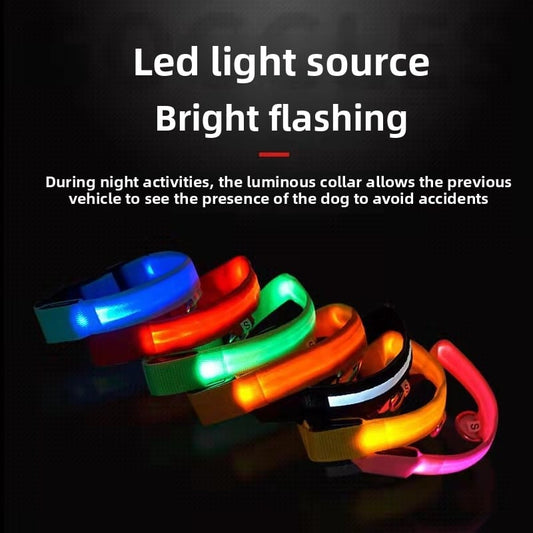 New LED Dog Collar - USB Rechargeable Glowing Pet Collar for Small & Large Dogs, Anti-Lost Safety Necklace