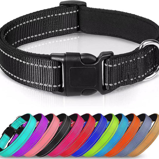 pet collar