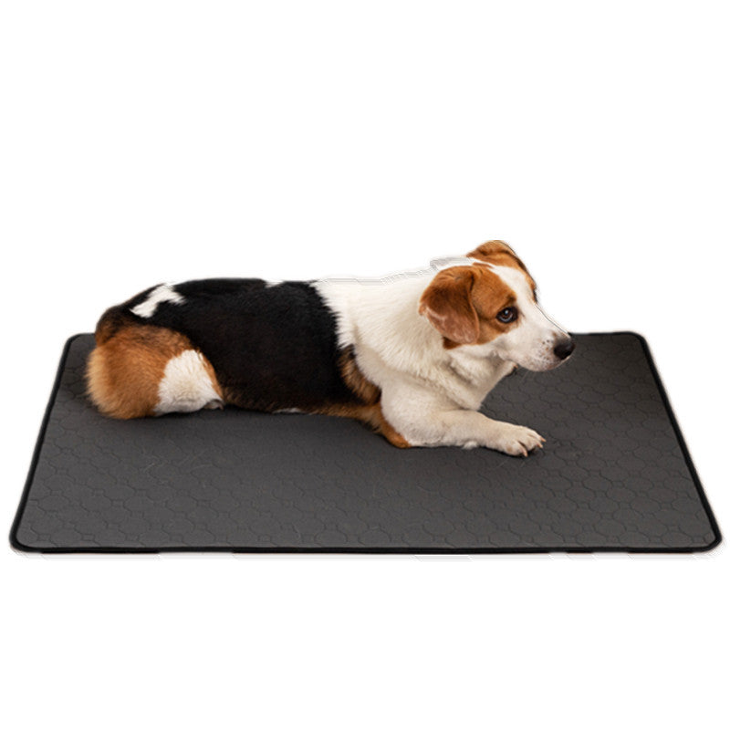 Pet urine pads are washable and reusable.