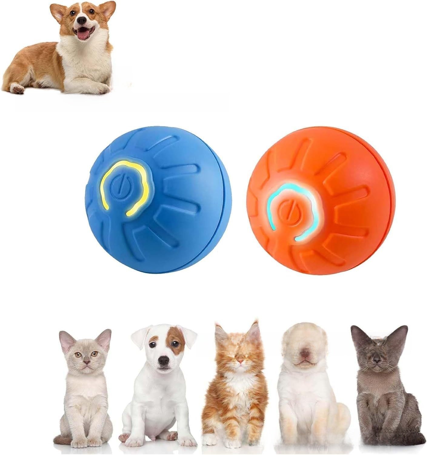 Smart Dog Gravitational Ball