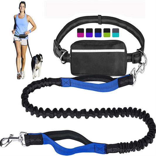 Hands-Free Adjustable Dog Leash with Zipper Pouch