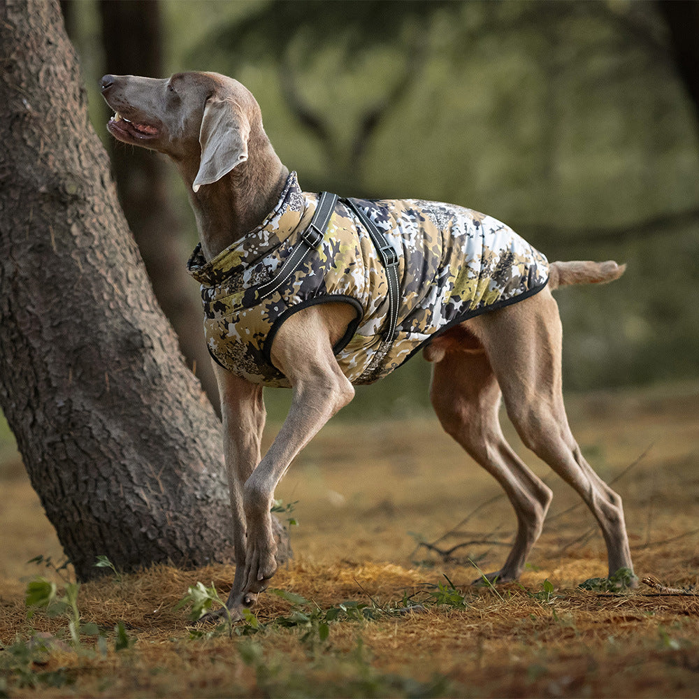 Warm and cold-proof pet clothes