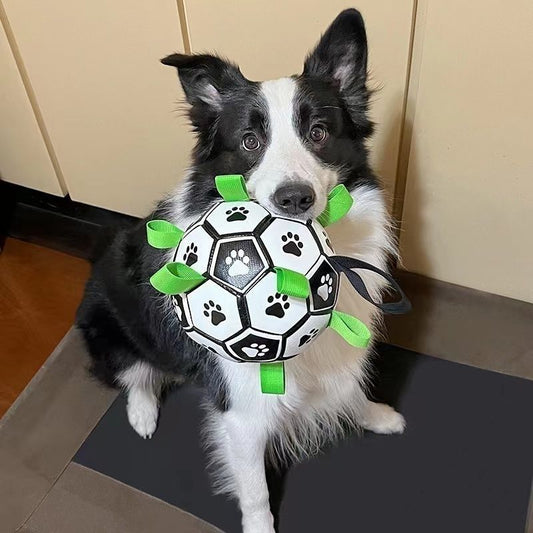 Inflatable Dog Toy with Paw Prints