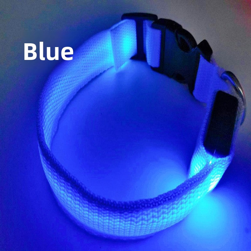 USB Rechargeable LED Pet Safety Collar with Adjustable Sizing