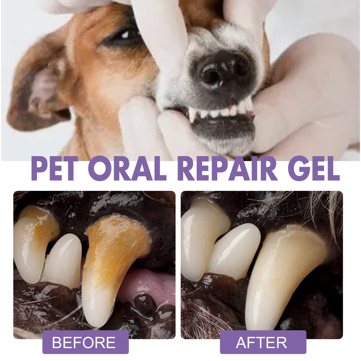 Pet oral care gel deep clean