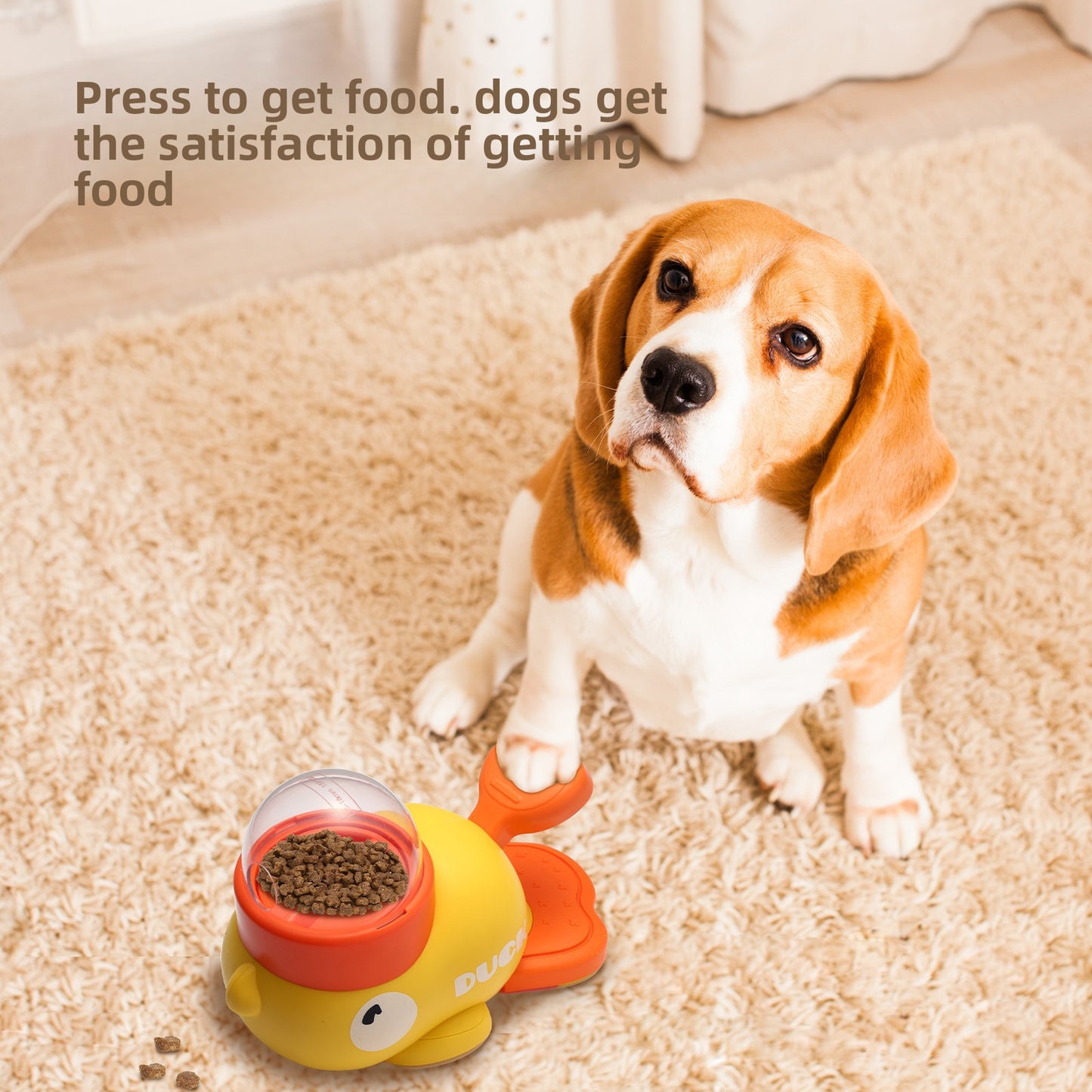 automatic pet feeder