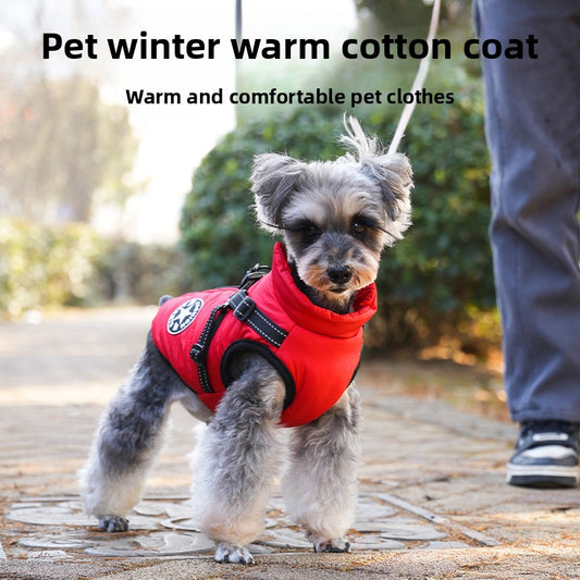 pet dog jacket