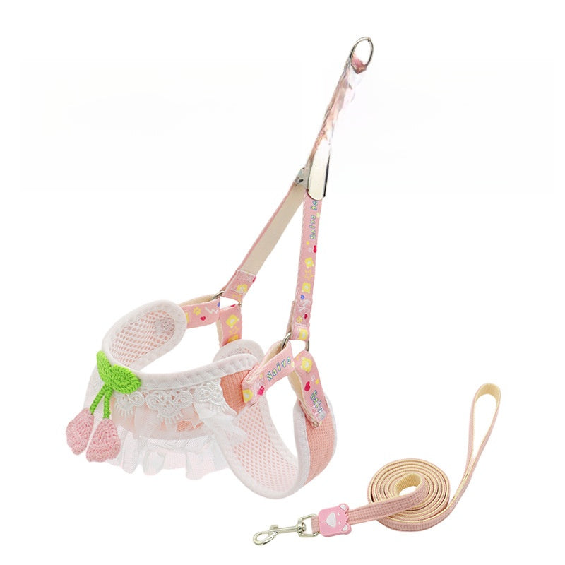 Dog leash for small dogs