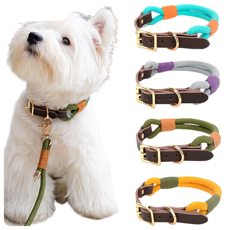 MOQ:300 Adjustable Pet Leash and Collar