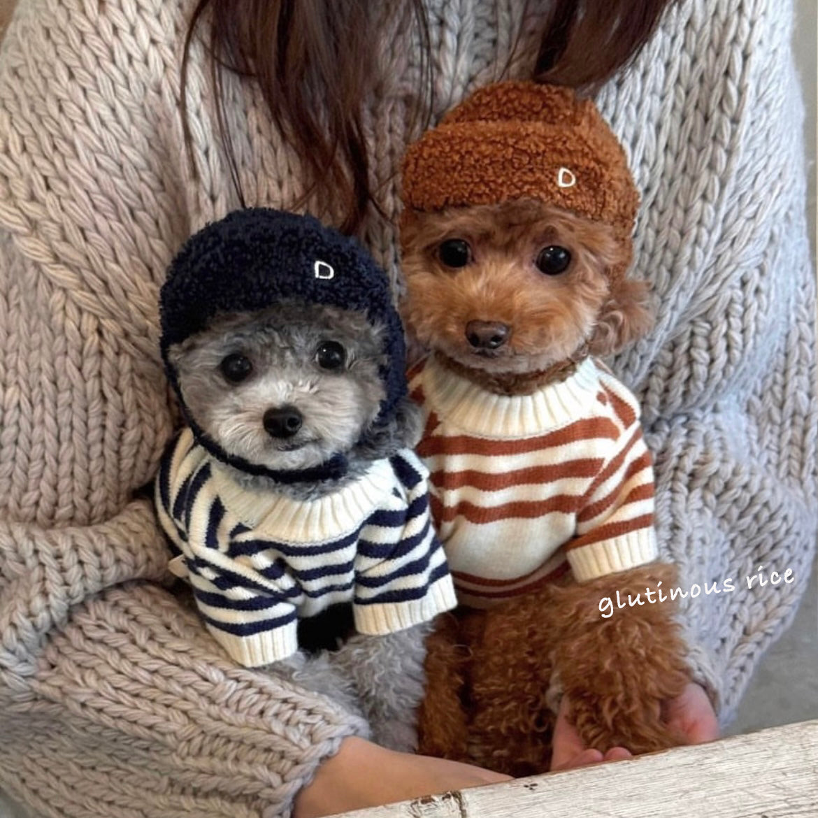 Bear Stripes Sweater