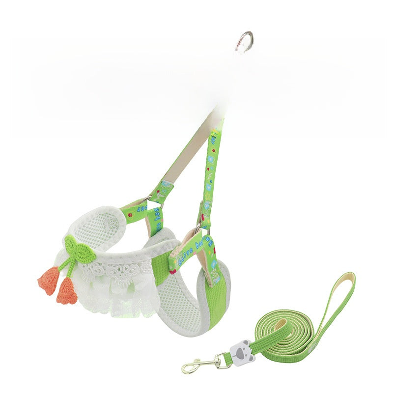 Dog leash for small dogs