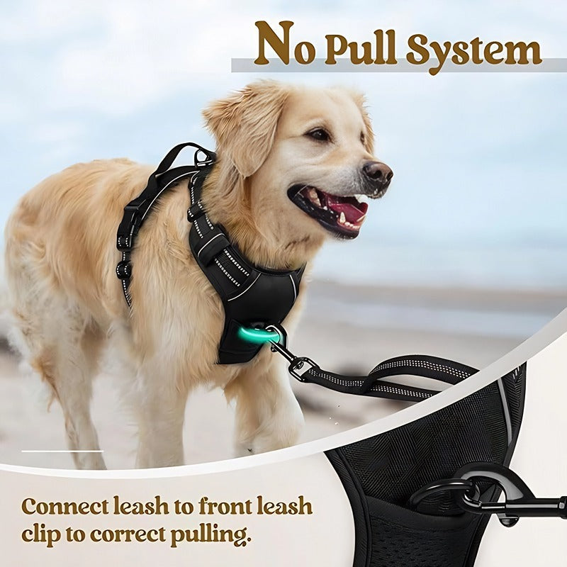 Adjustable Dog Leash and Chest Strap