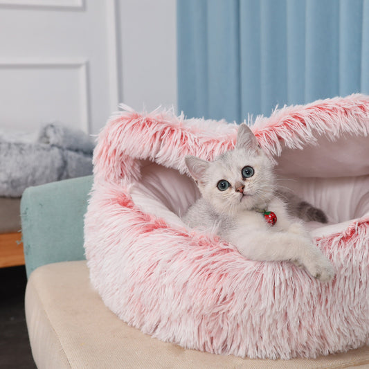 Pet bed