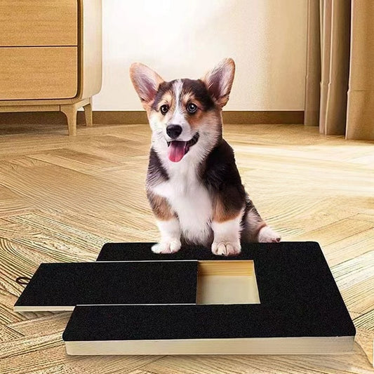 Pet Scratch Board