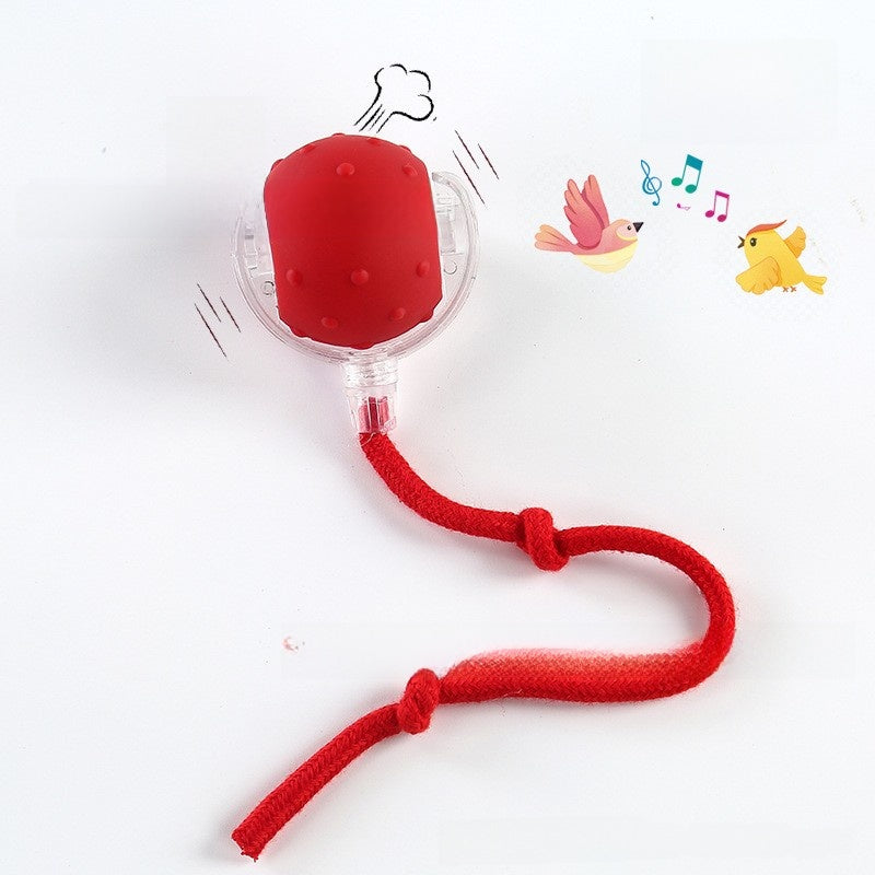 Bite-resistant Automatic Cat Toy