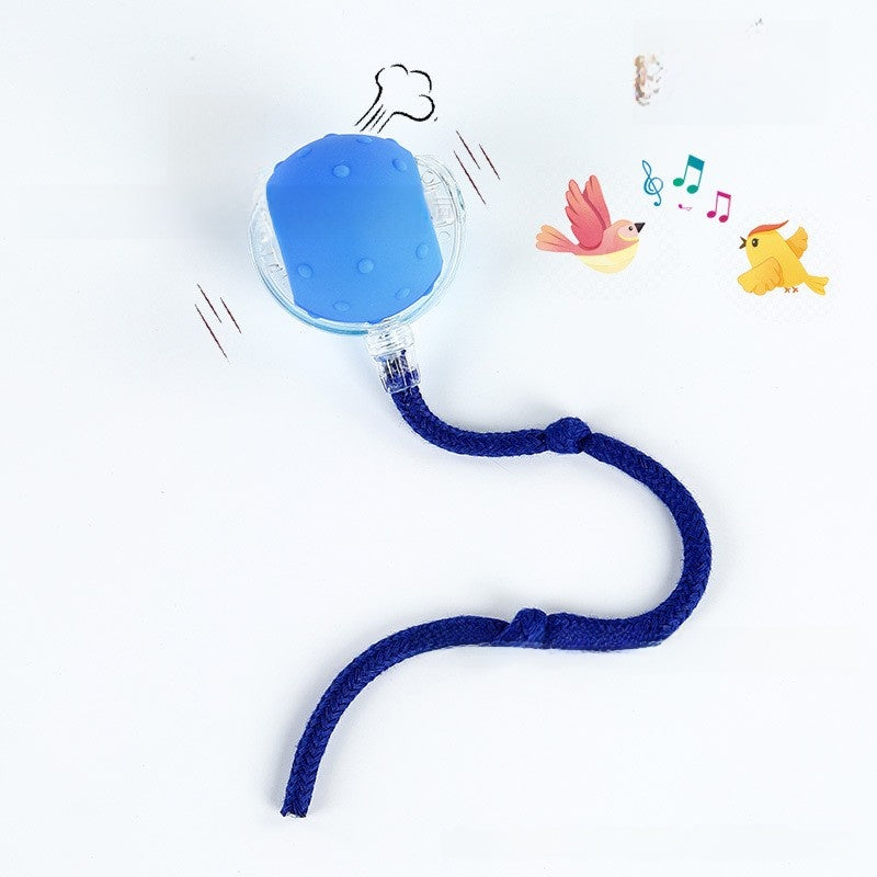 Bite-resistant Automatic Cat Toy