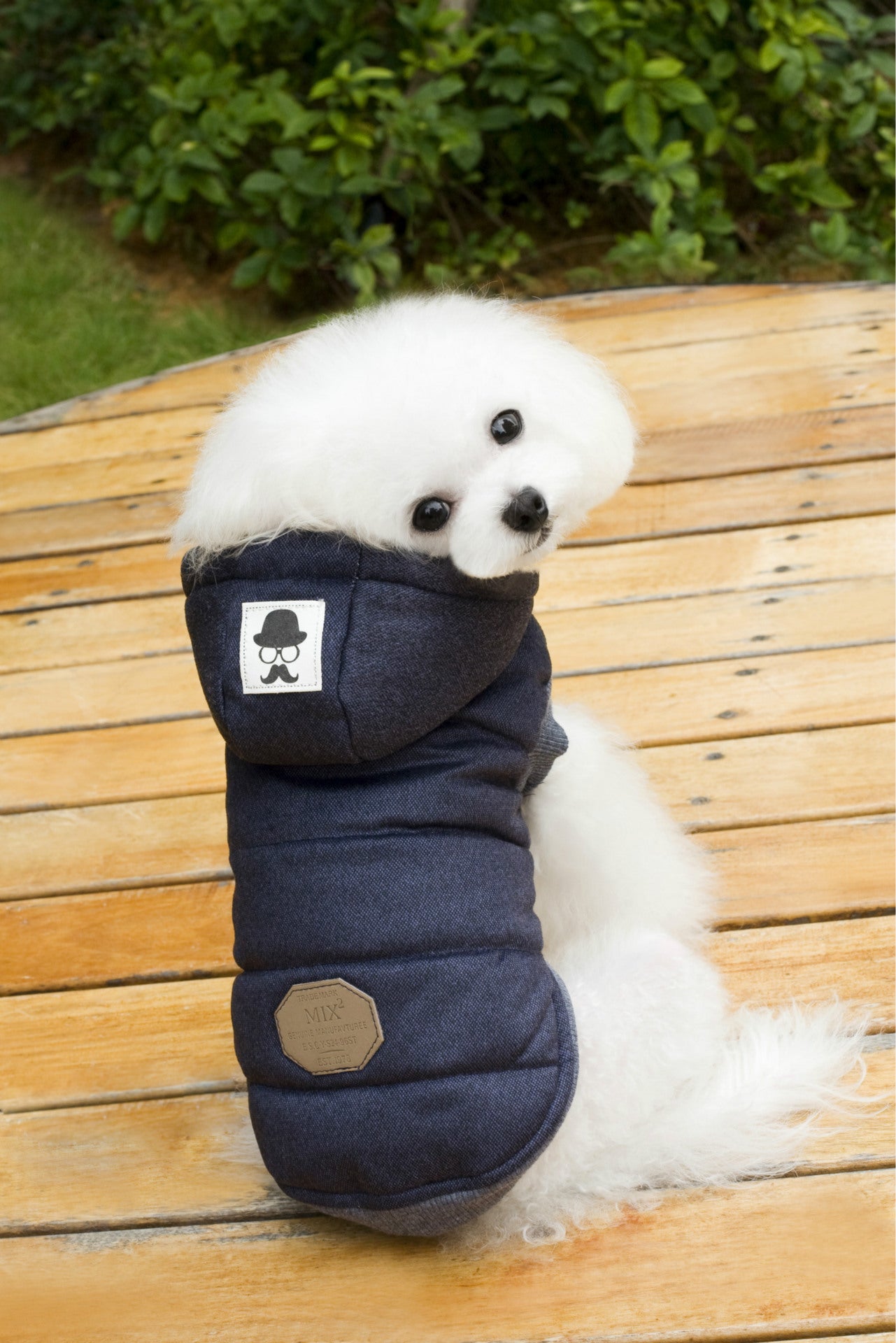 Dog clothing two-layered cotton coat on legs
