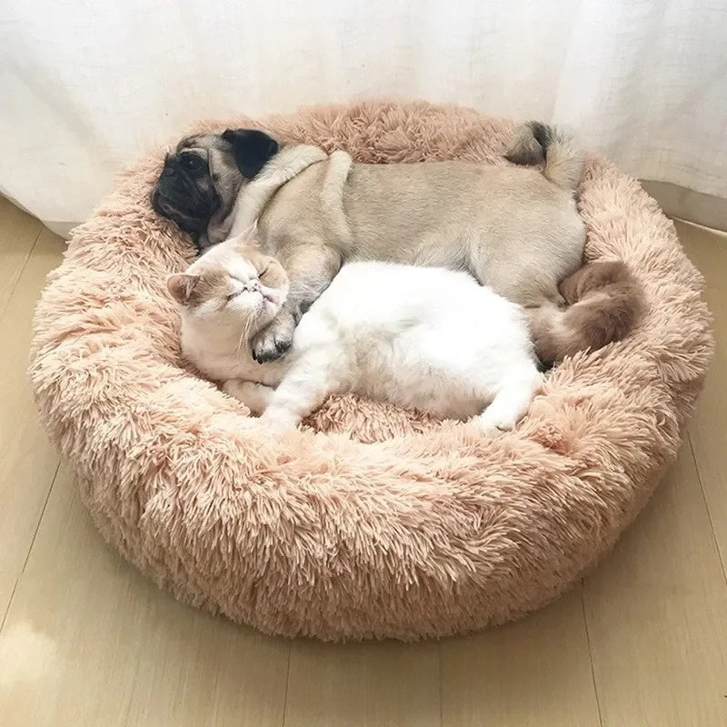 Pet Bed