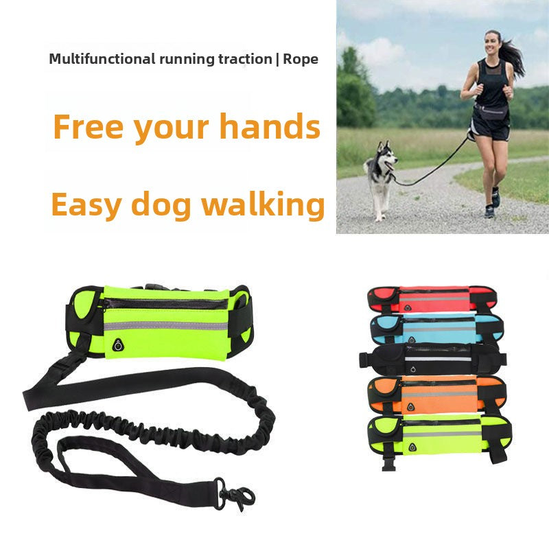 Pet belt leash