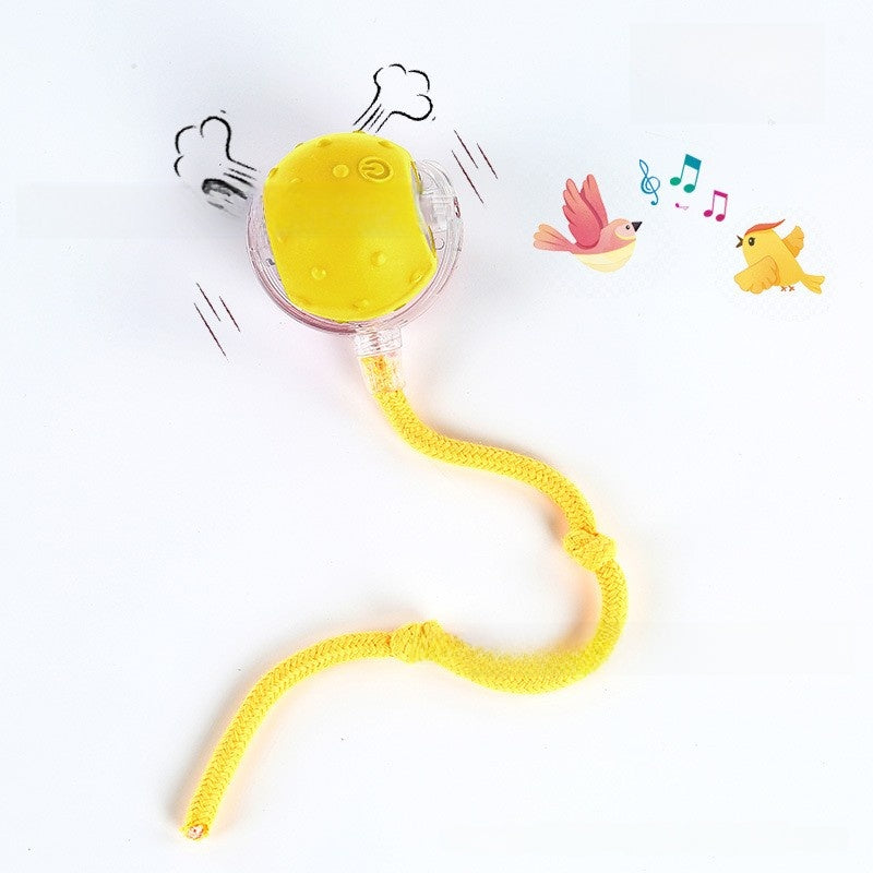 Bite-resistant Automatic Cat Toy