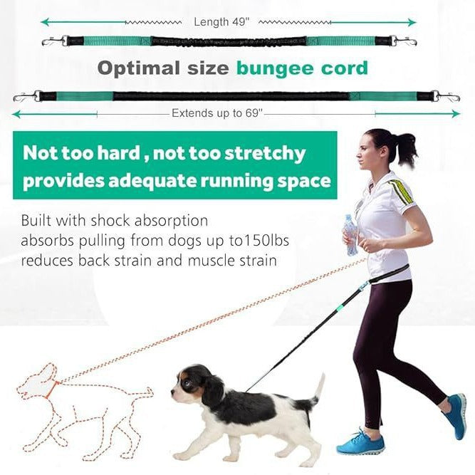 Pet running leash exercise waist bag set