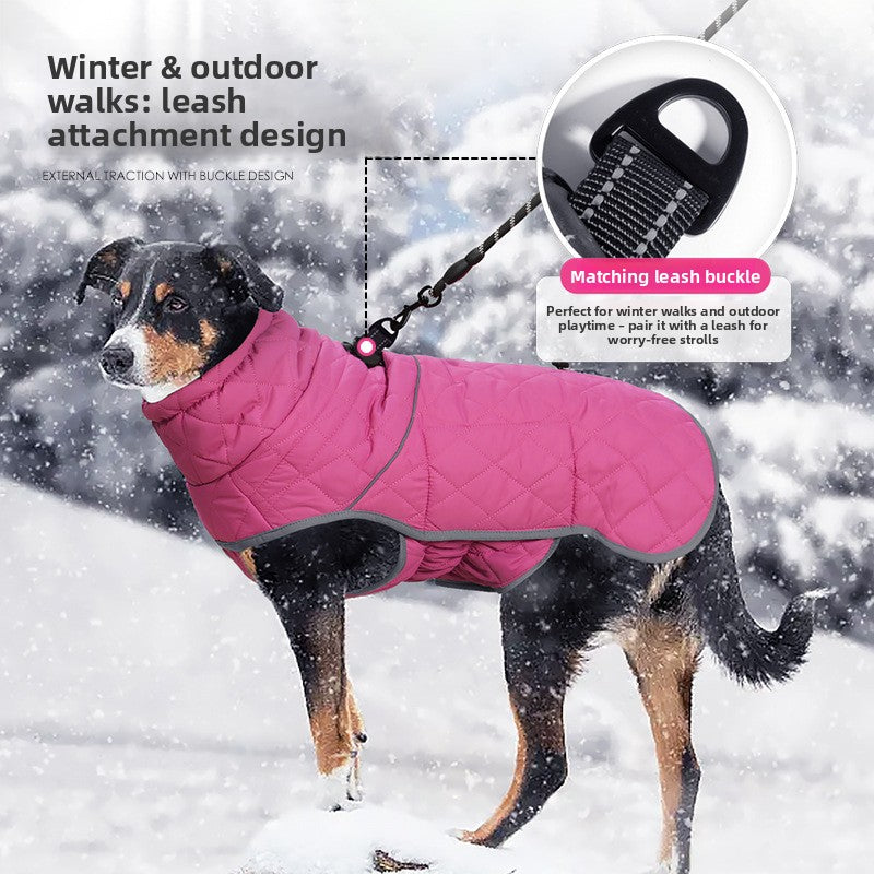 Winter dog coat with waterproof and padded lining