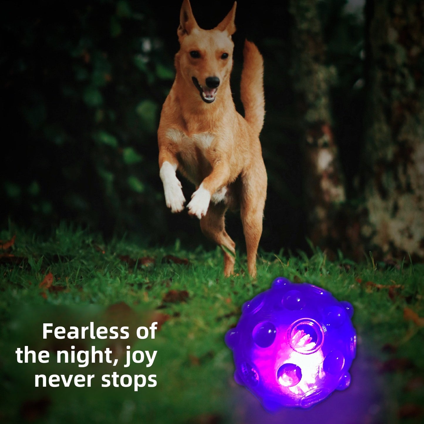 Pet interaction entertainment toys