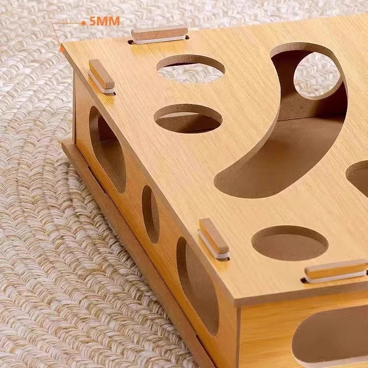 cat maze toy