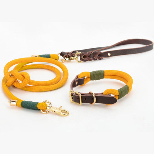 MOQ:300 Adjustable Pet Leash and Collar