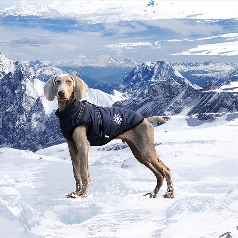 Warm and cold-proof pet clothes