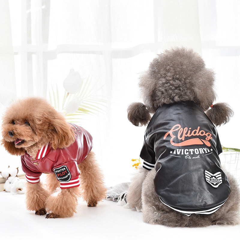 Dog-themed fleece-lined flight jacket