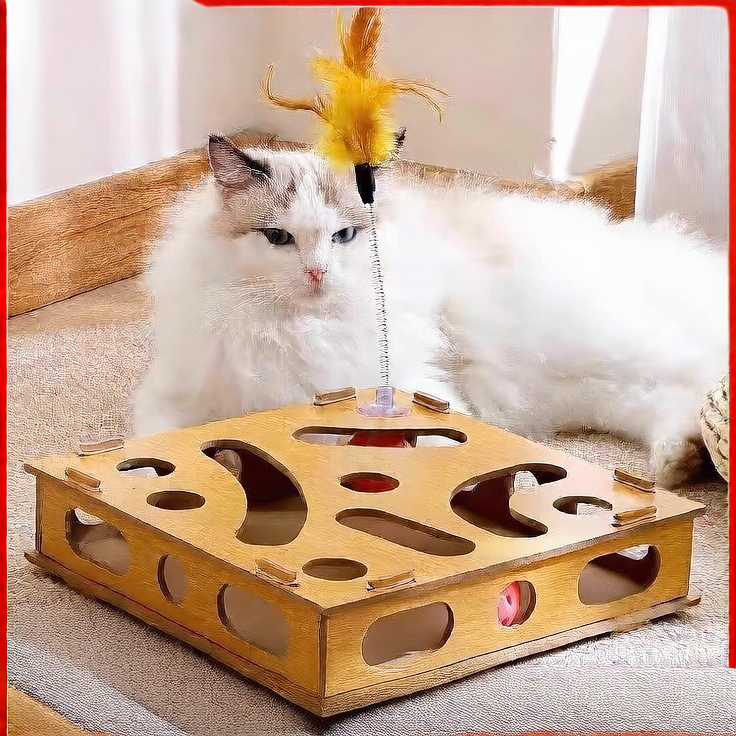 cat maze toy