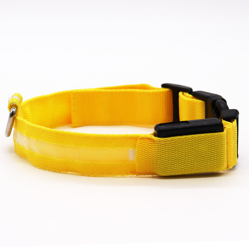 pet led collar