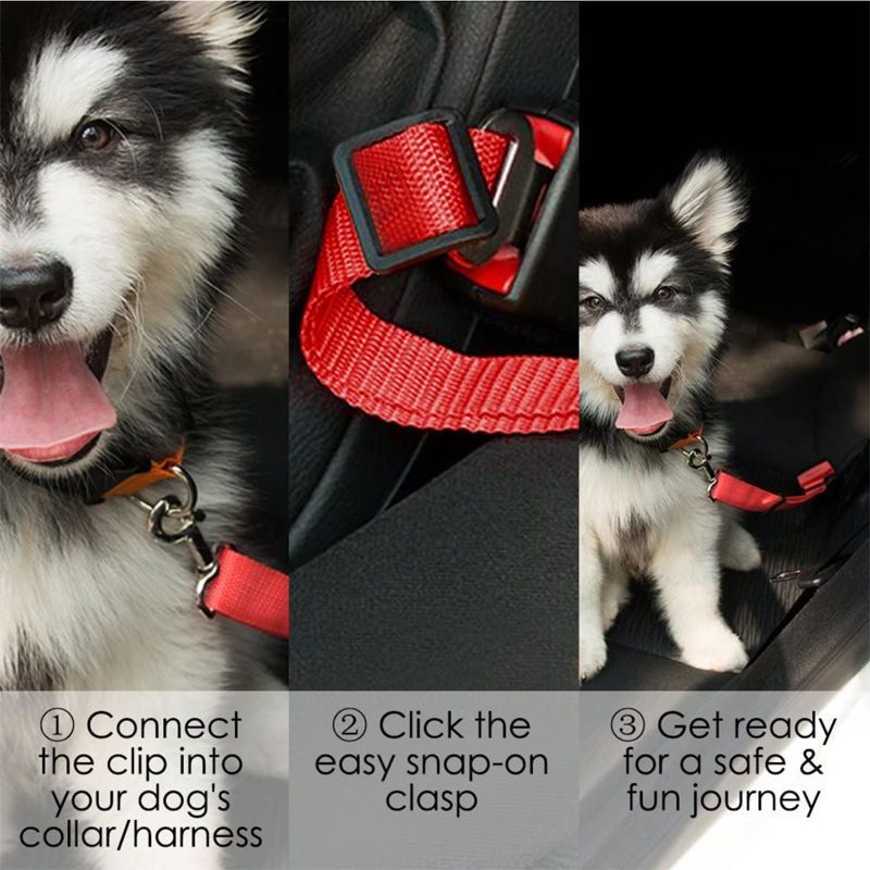 Pet safety belt