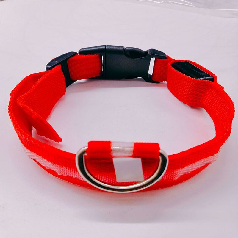 LED light-up collar