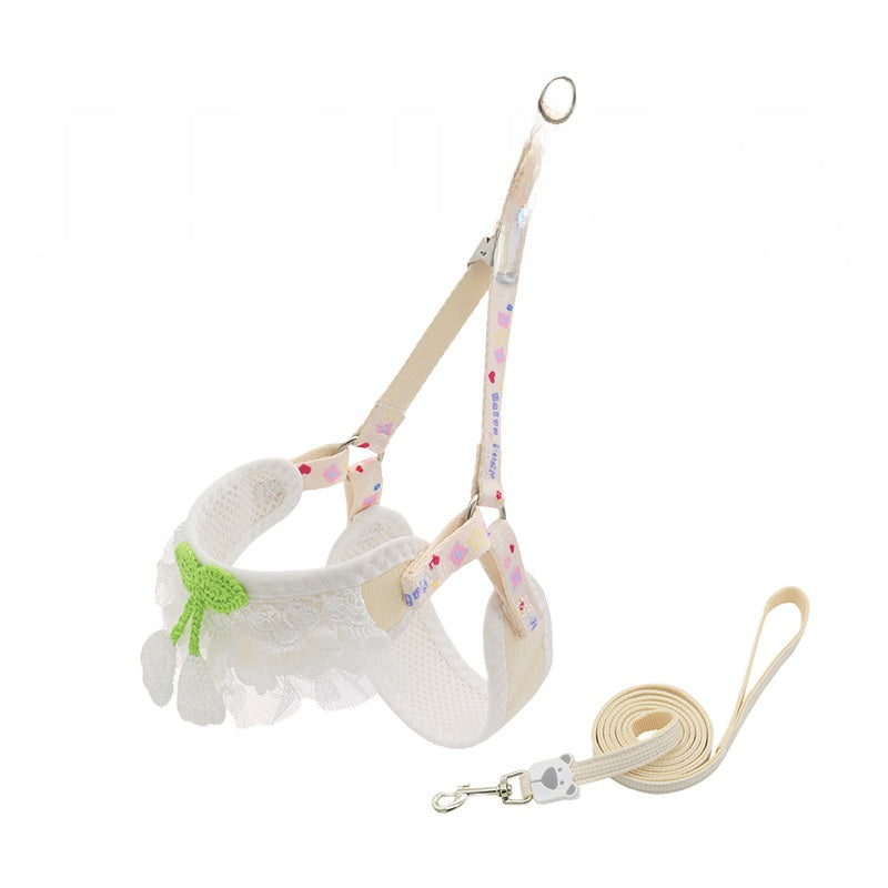 Dog leash for small dogs