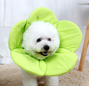 Pet Protective Cover