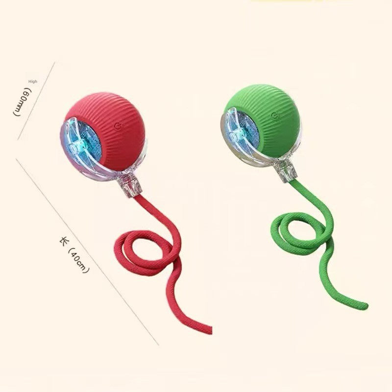 Dog Toy Automatic Walking Ball