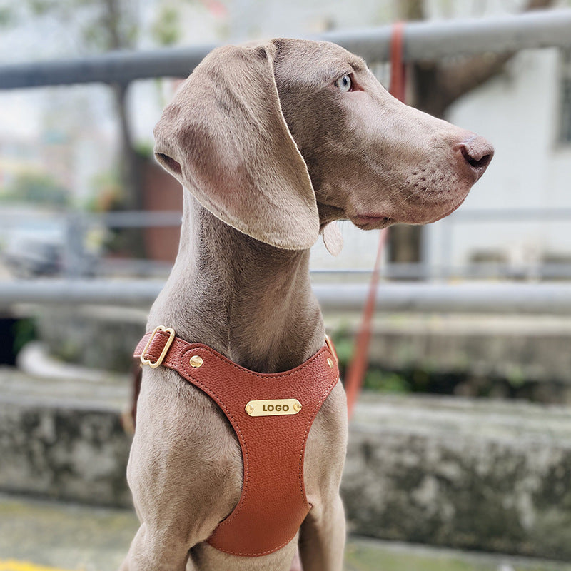Leather Dog Harness and Leash Set