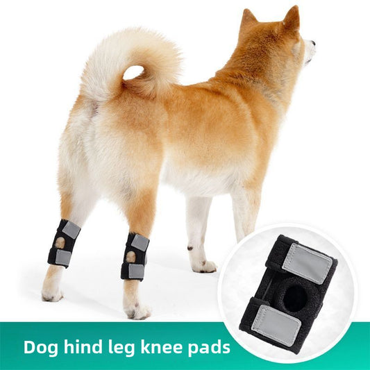 Pet knee pads