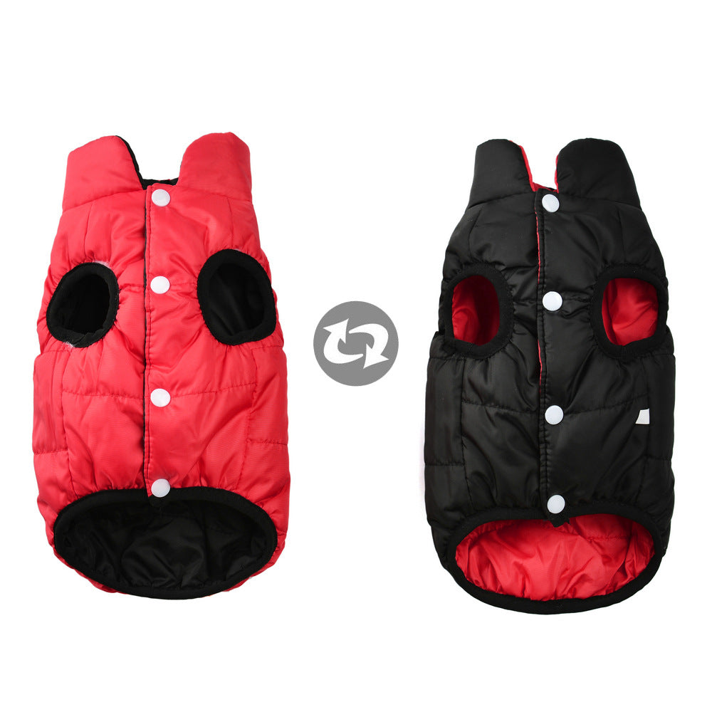 Dog winter coat for warmth and cold protection