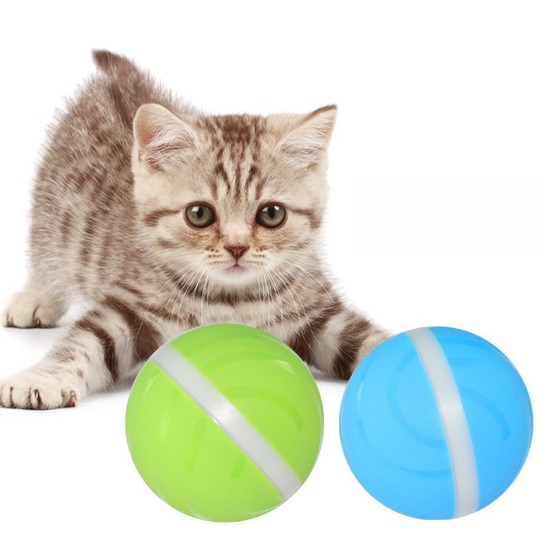 Rolling Cat Toy Ball