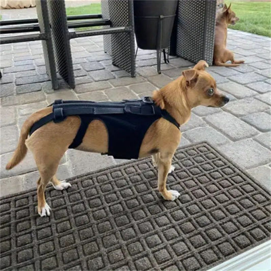 Dog Back Support Vest