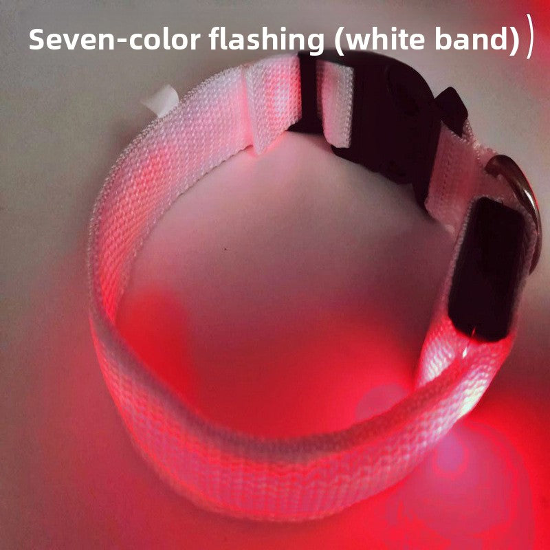 USB Rechargeable LED Pet Safety Collar with Adjustable Sizing
