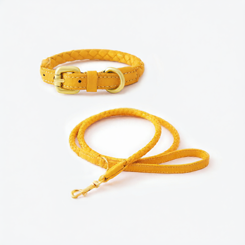 Woven Leather Dog Collar and Leash Set