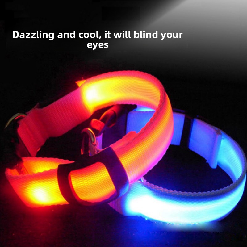 pet led collar