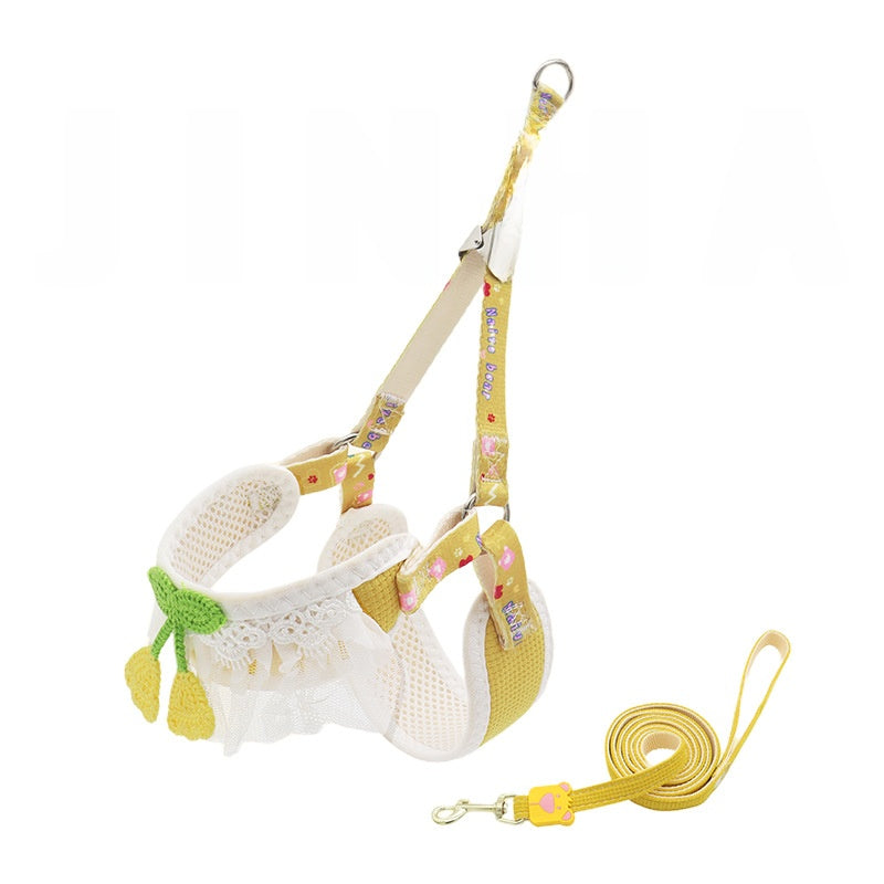 Dog leash for small dogs