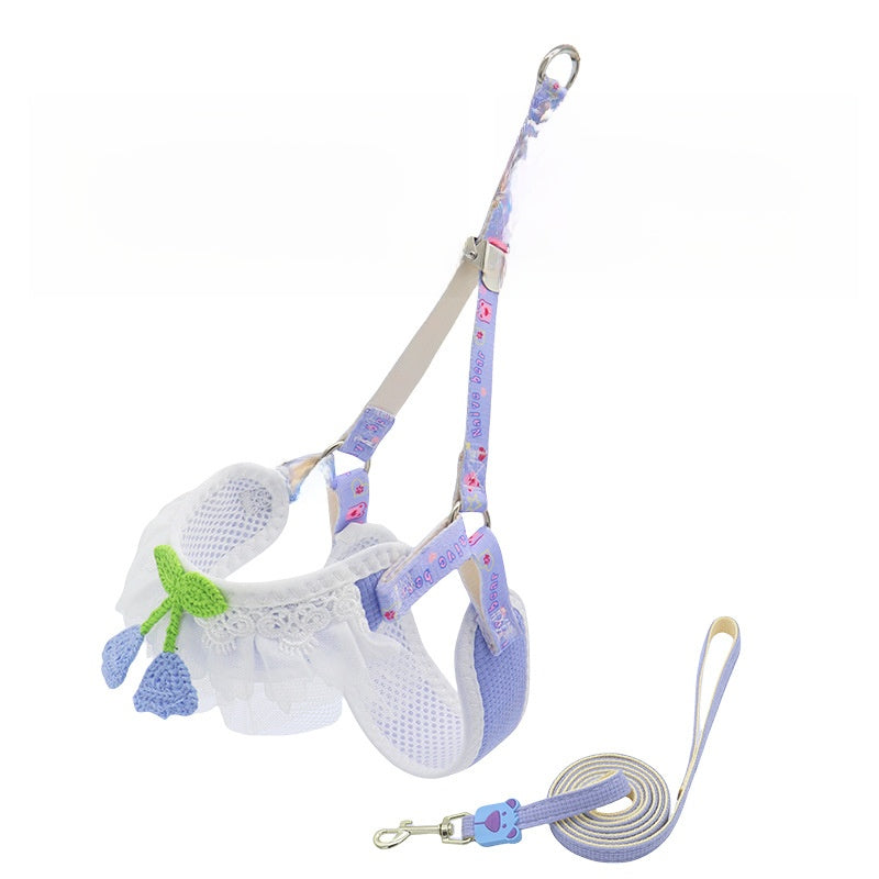 Dog leash for small dogs