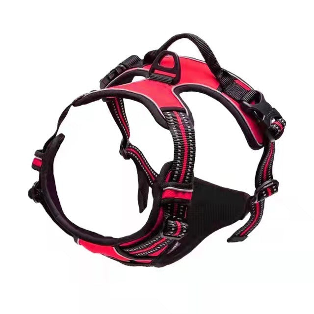 Pet Harness Leash
